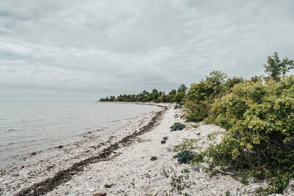 Saaremaa, Hiiumaa cite law of supply and demand in calls for cheaper air fares