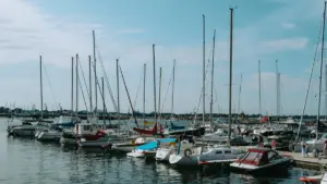 Kristin Lätt: our mother tongue is like a secret language that only one grain of sand in the world understands