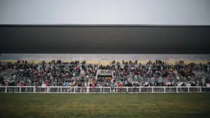 Orbán supporters gathered in Hungary for a pre-election rally