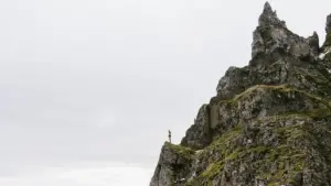 Two students received the Kalju Komissarow Scholarships