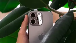 Verstappen laughed at the F1 revolution: like picking mushrooms in a video game