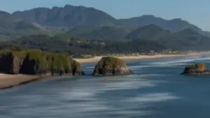 A mysterious mountain was found from the bottom of the Pacific ocean