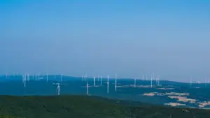 URMAS MARANIK ⟩Is the attempt to bring local governments back to the level of a hare?