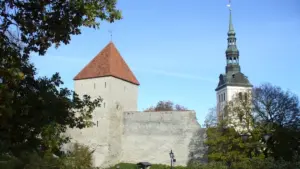 VIDEO ⟩ Unexpected moment at Tallinn TV Tower: it was historic because it has been done one by one so far