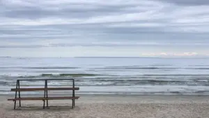 When will the crash happen if the seeders do not go to the field?